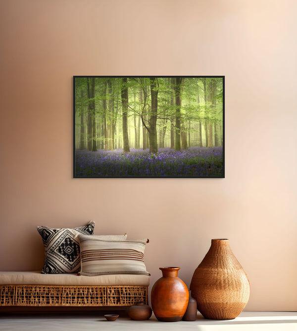 Calming Bluebell Woods
