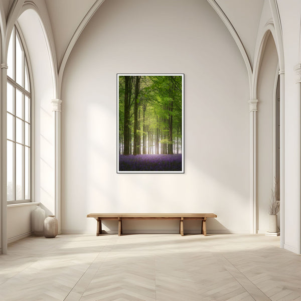 Tall Morning Glow in the Bluebell Forest