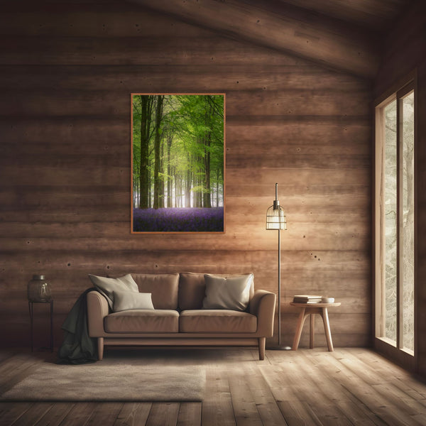 Tall Morning Glow in the Bluebell Forest