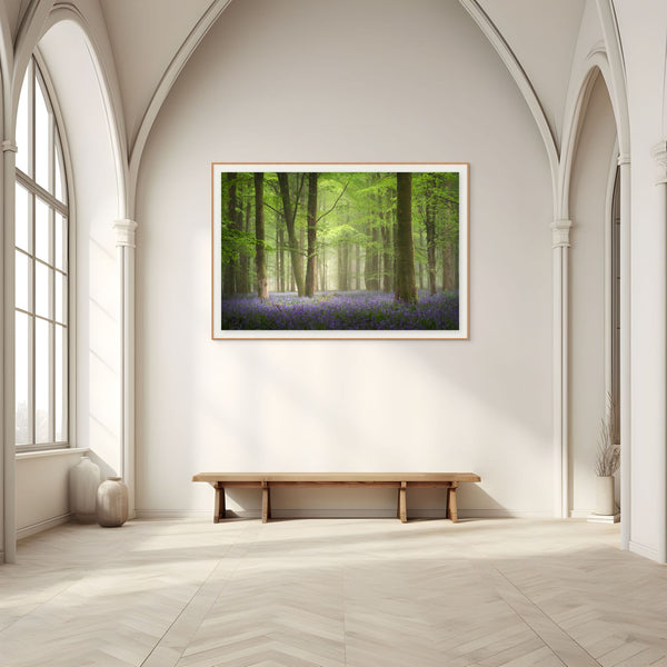 Peace in the Bluebell Woods