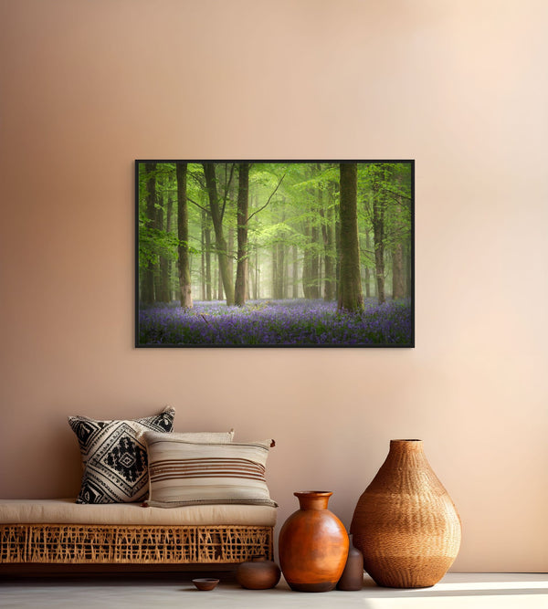 Peace in the Bluebell Woods