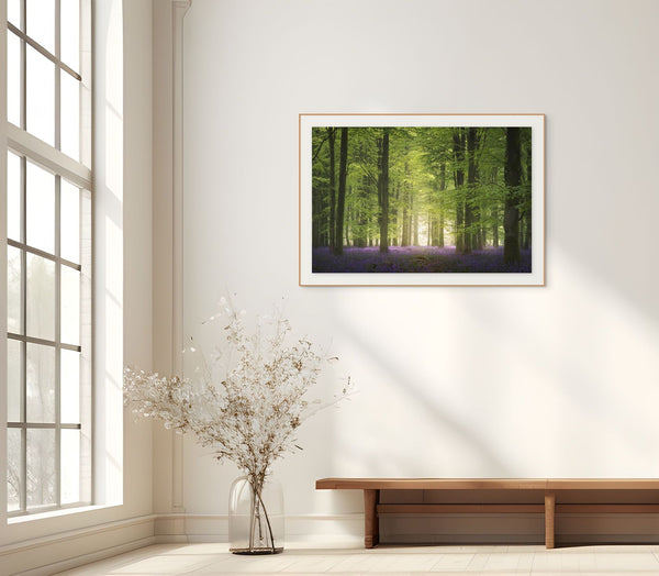 Morning Glow in the Bluebell Forest