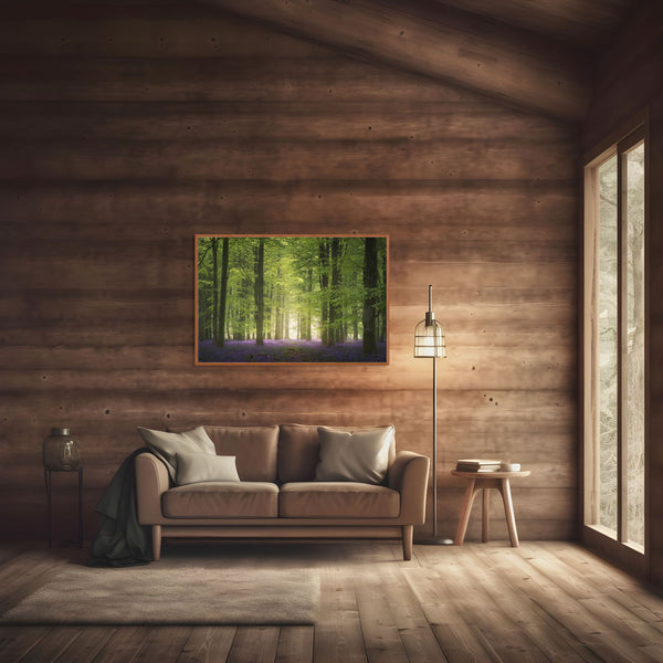 Morning Glow in the Bluebell Forest